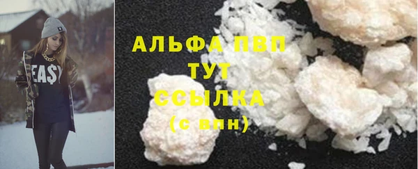 прущий лед Богданович