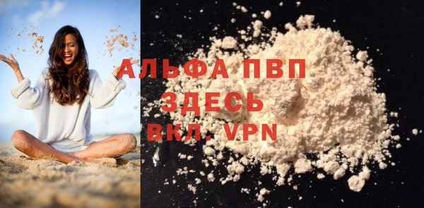 PSILOCYBIN Бородино