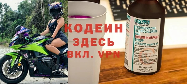 прущий лед Богданович