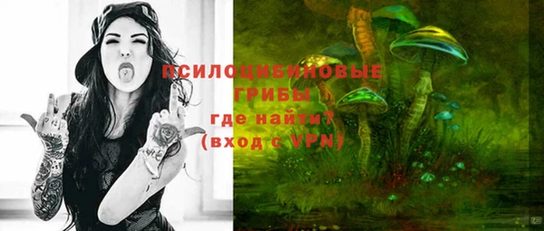 PSILOCYBIN Бородино