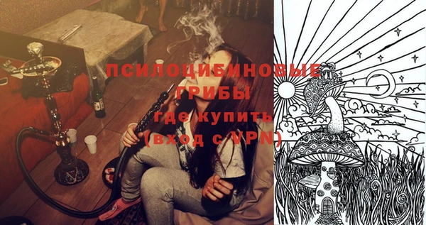 гидра Бугульма