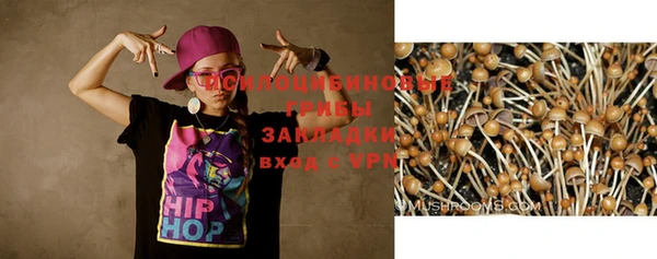 амф Богородицк