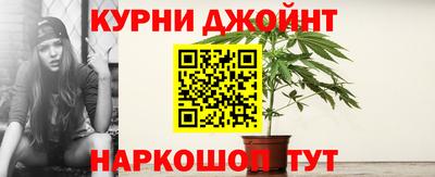 PSILOCYBIN Гагарин