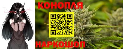 ешки Гай