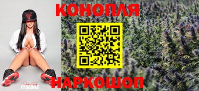 ешки Гай