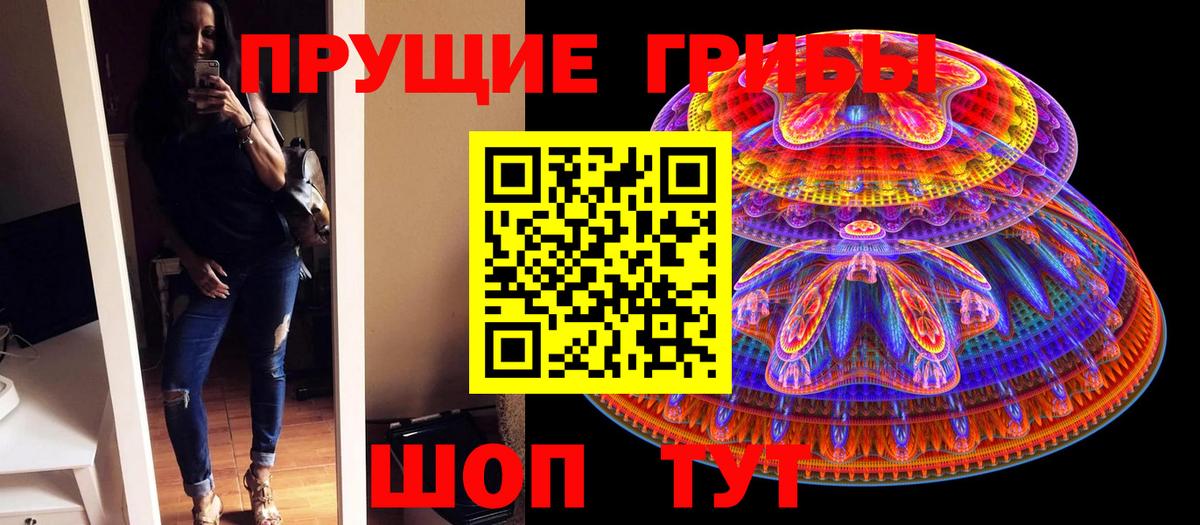 Галлюциногенные грибы Psilocybine cubensis  Вход с VPN  Галлюциногенные грибы Psilocybine cubensis  Гай 