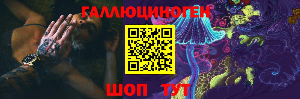Псилоцибиновые грибы Cubensis Гай