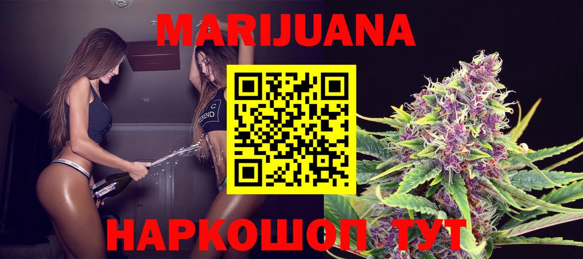 Канабис ГИДРОПОН Гай